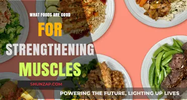 Fuel Your Strength: Top Foods to Boost Muscle Power