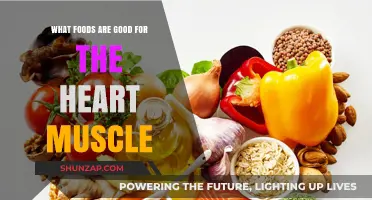 Nourishing Your Heart: Top Foods for Optimal Cardiac Health