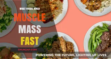 Fuel Your Gains: The Ultimate Guide to Muscle-Building Foods