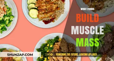 Fuel Your Gains: The Ultimate Guide to Muscle-Building Foods