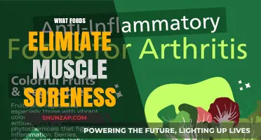 Best Foods to Reduce Muscle Soreness and Inflammation