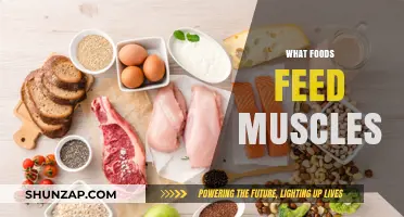 Muscle-Building Foods: What to Eat to Gain Strength