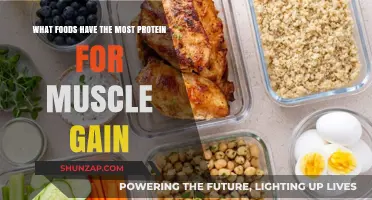 Top Protein-Rich Foods to Fuel Muscle Growth and Strength