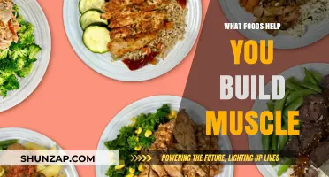 Fuel Your Gains: The Ultimate Guide to Muscle-Building Foods