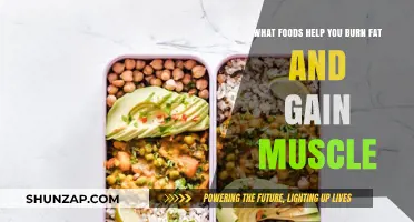 Fuel Your Fitness: Top Foods for Fat Loss and Muscle Gain