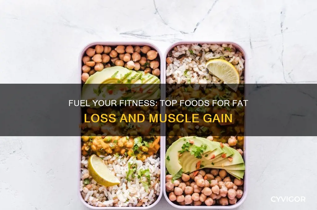 what foods help you burn fat and gain muscle