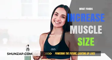 Best Foods to Boost Muscle Growth