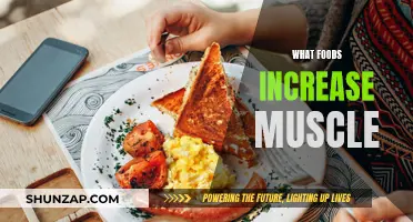 Building Muscle Mass: Foods to Fuel Your Gains