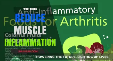 Anti-Inflammatory Foods to Speed Up Muscle Recovery