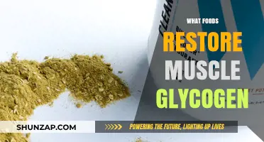 Muscle Glycogen Recovery: Best Foods to Refuel
