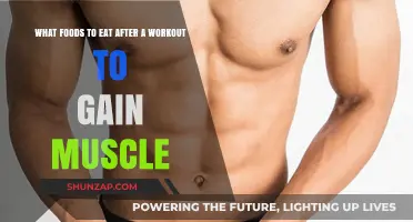 Post-Workout Muscle Fuel: Best Foods for Recovery and Growth