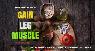 Fuel Your Leg Gains: Top Muscle-Building Foods for Stronger Legs
