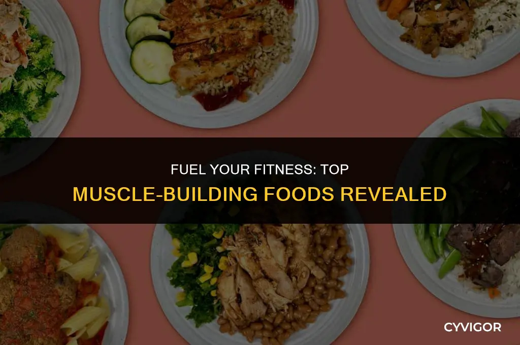 what foodz are good for muscles