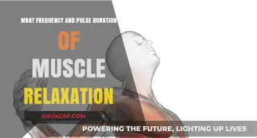 Optimal Muscle Relaxation: Frequency and Pulse Duration Explained
