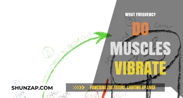 Muscle Vibrations: Understanding Their Frequency