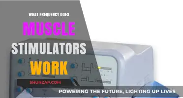 Understanding Muscle Stimulator Frequencies: How They Work and Why