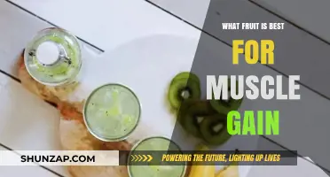Top Fruits to Fuel Muscle Growth and Recovery Naturally
