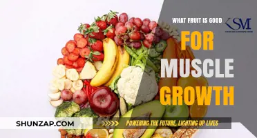 Fueling Your Gains: The Best Fruits for Muscle Growth