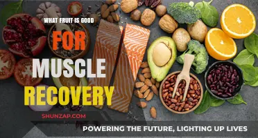 Boost Your Muscle Recovery: Top Fruits to Add to Your Diet