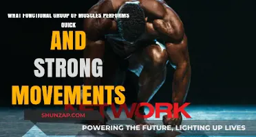 Explosive Power: Unveiling Muscles Behind Quick, Strong Movements