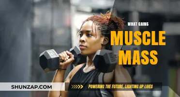Effective Strategies for Building Muscle Mass and Strength