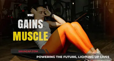 Unlocking Muscle Growth: Proven Strategies for Strength and Size