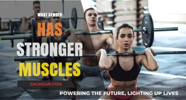 Muscle Strength: The Battle of Sexes