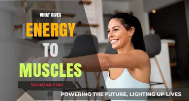 Muscle Energy: Unlocking the Power Source