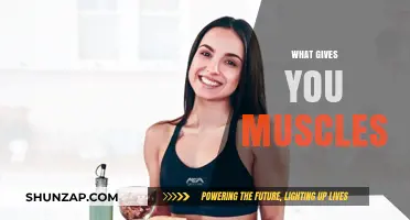 Building Muscles: The Science Behind Strength Training