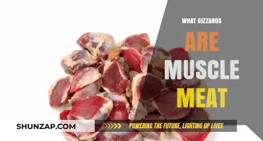 Gizzards: Muscle Meat Superfood for Your Health