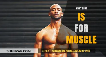 Glutamine: Muscle Recovery and Growth Superfuel