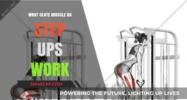 Step Ups: Targeting Glute Muscles for Strength and Tone