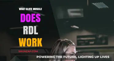 How RDLs Target and Strengthen Your Glute Muscles Effectively