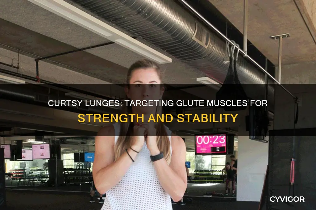 what glute muscles do curtsy lunges work