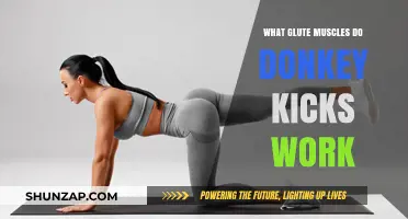 Donkey Kicks: Targeting Glute Muscles for Strength and Tone