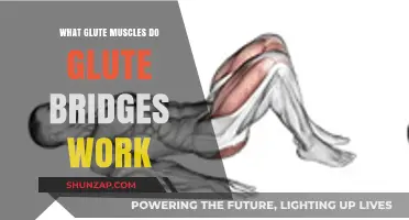 Glute Bridges: Targeted Muscles and Benefits for Stronger Glutes