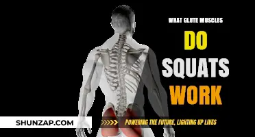 Squats and Glutes: Targeted Muscles for Stronger Lower Body Workouts
