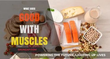 Fuel Your Strength: Top Foods to Complement Your Muscle Gain Journey