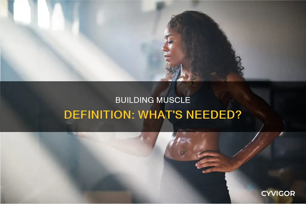 what goes into muscle definition