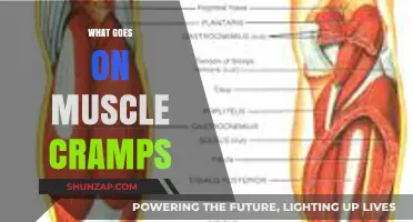 Unraveling the Mystery: What Really Causes Muscle Cramps?