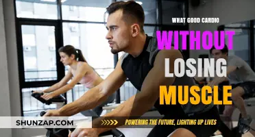 Effective Cardio Strategies to Maintain Muscle Mass While Boosting Heart Health