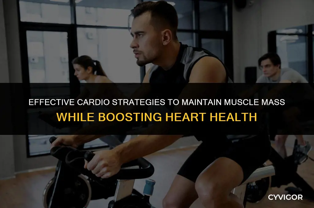 what good cardio without losing muscle