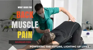 Relieve Back Muscle Pain: Effective Remedies and Exercises