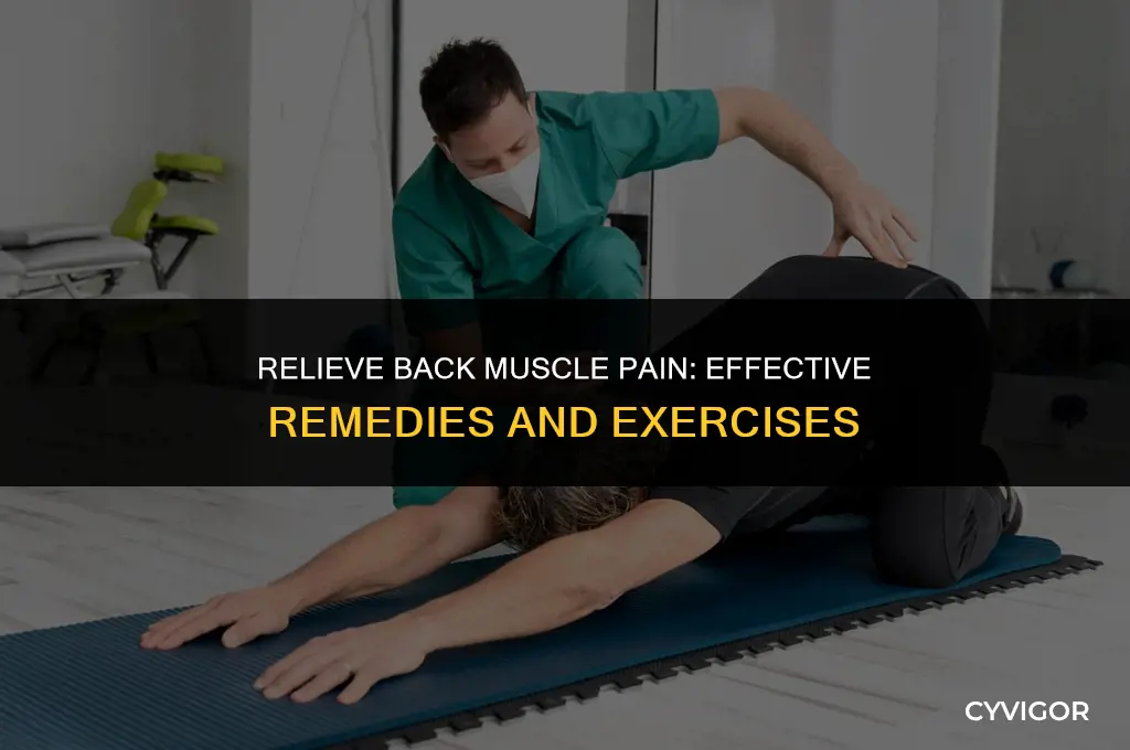 what good for back muscle pain