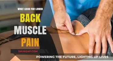 Effective Remedies for Relieving Lower Back Muscle Pain and Discomfort