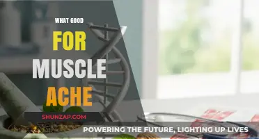 Natural Remedies to Relieve Muscle Aches: A Comprehensive Guide