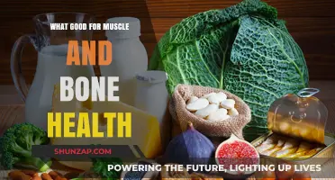 Strengthen Your Foundation: Foods and Habits for Optimal Muscle and Bone Health