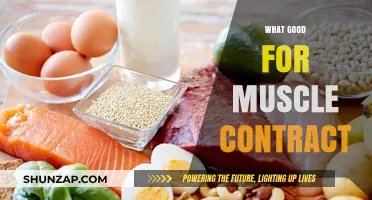 Fuel Your Gains: The Ultimate Guide to Muscle-Boosting Nutrition