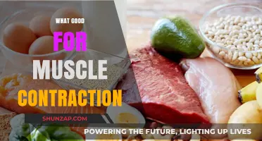 Fuel Your Gains: The Ultimate Guide to Muscle-Boosting Nutrition