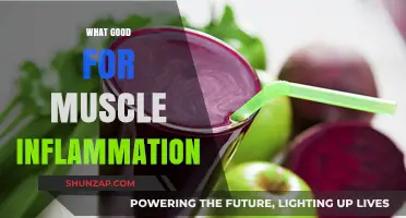 Effective Remedies to Relieve Muscle Inflammation and Promote Recovery